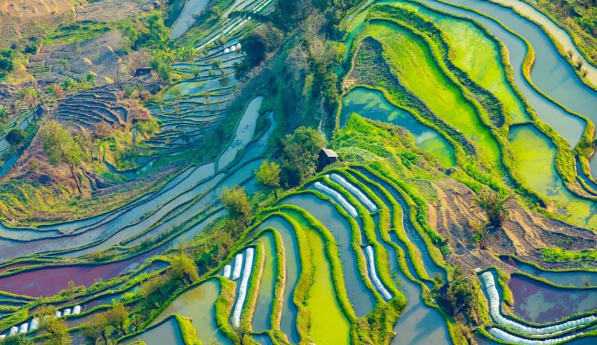 宝妈必备神器：贡井区产品视频拍摄轻松育儿好帮手